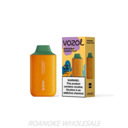 VOZOL STAR 6000 PUFFS 10PCS [140ML] - Image 2