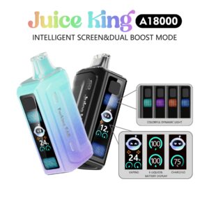 JUICE KING A18000 5PCS [100ML]