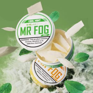 MR FOG DRY NICOTINE POUCHES 8MG 5/20 PACKS